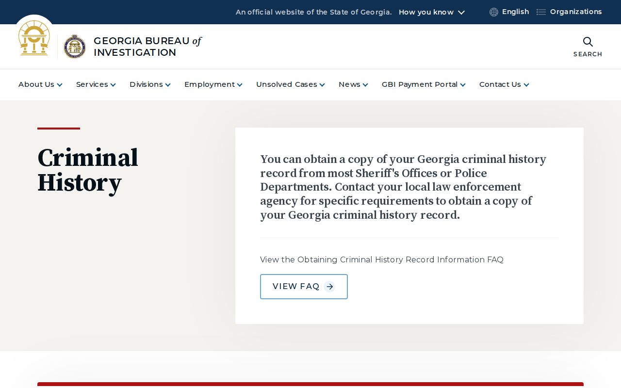 GBI criminal history overview for Johnson County record review